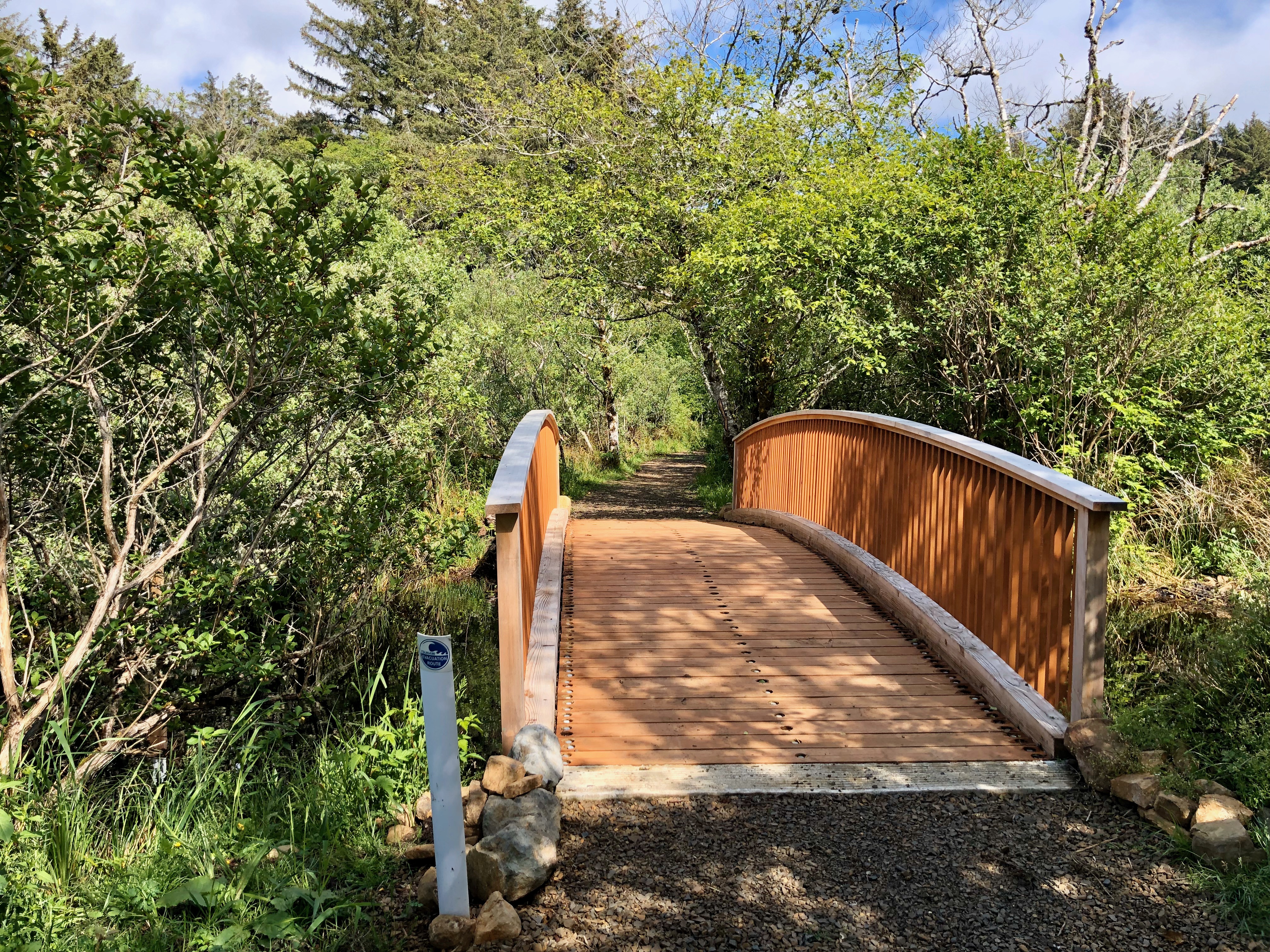 TsunamiTrailBridgeSunny